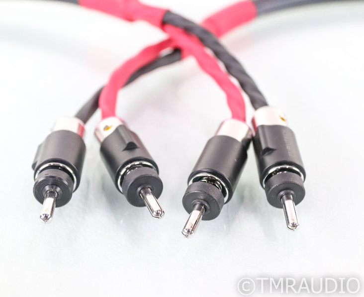 Audio Art Cable Statement e SC Cryo Treated Speaker Cables; 6ft Pair