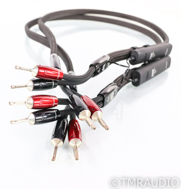 AudioQuest Castle Rock Speaker Cables; 5ft Pair; 72v DBS (SOLD)