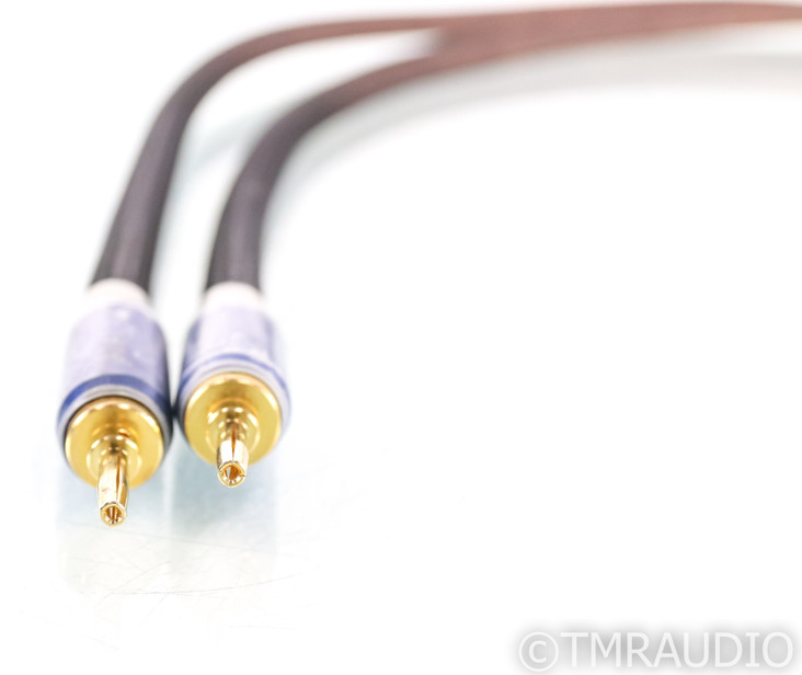 Tara Labs RSC Air 2 Single Speaker Cable; 4ft Single Channel