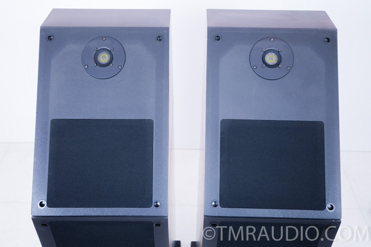 Genesis VI Speakers Floorstanding Speakers; Excellent Working Pair