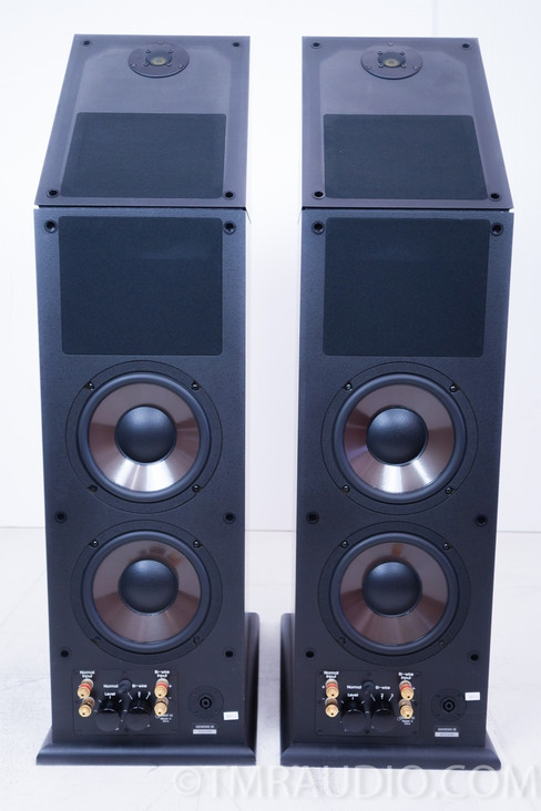 Genesis VI Speakers Floorstanding Speakers; Excellent Working Pair