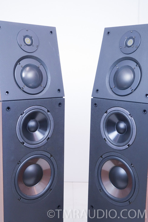 Genesis VI Speakers Floorstanding Speakers; Excellent Working Pair