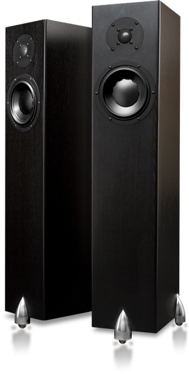 Totem Acoustic Forest Floorstanding Speakers; Pair