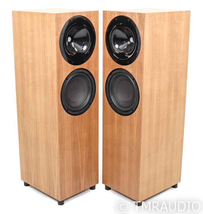 Audio Kinesis Custom Jazz Module Floorstanding Speakers; Walnut Pair; Upgraded