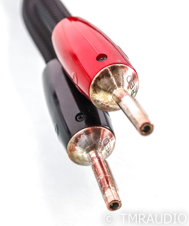 AudioQuest Castle Rock Speaker Cables; 6ft Pair; 72v DBS (SOLD)