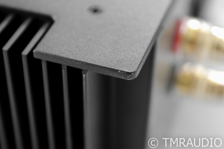 Schiit Aegir Stereo Power Amplifier; Black (SOLD11)