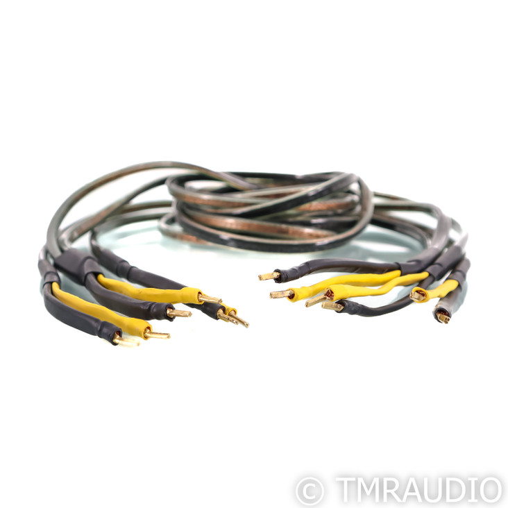 Analysis Plus Oval 12 Bi-Wire Speaker Cables; 6ft Pair