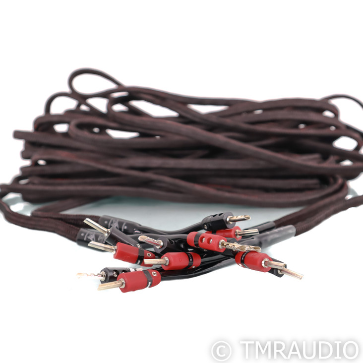 AudioQuest Rocket 33 Bi-Wire Speaker Cables; 40ft Pair