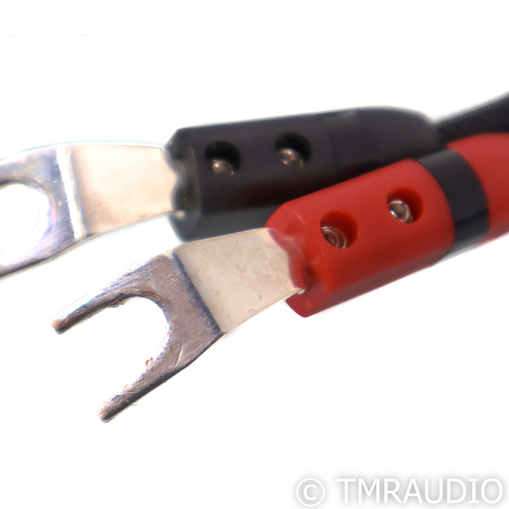 AudioQuest CV-8 Speaker Cables; 72v DBS; 10ft Pair