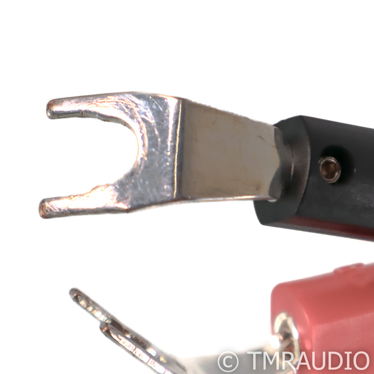 AudioQuest CV-8 Speaker Cables; 72v DBS; 10ft Pair