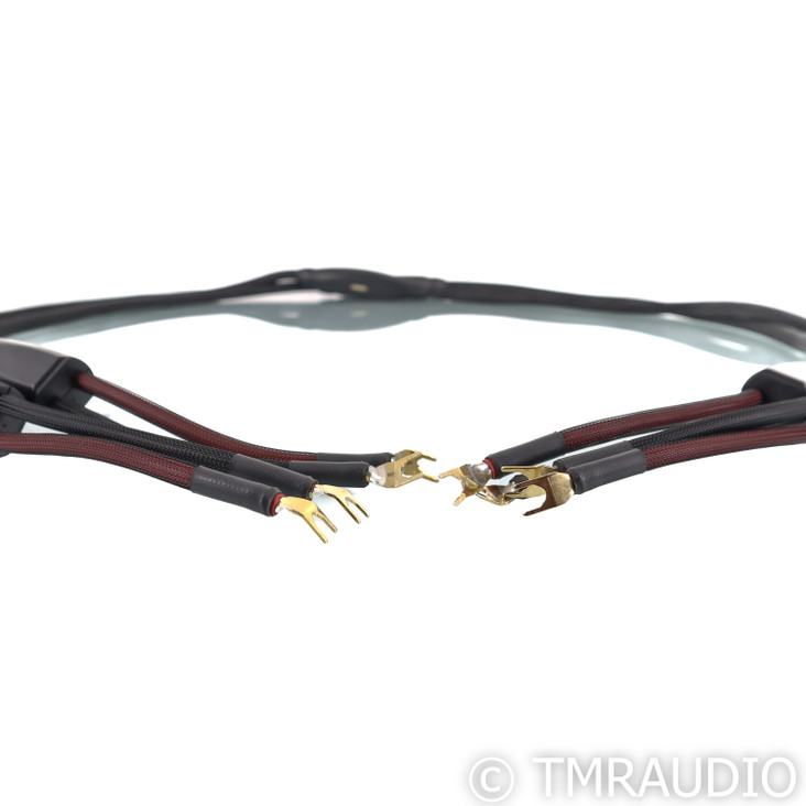 Transparent Audio Plus Gen 5 Speaker Cables; 8ft Pair