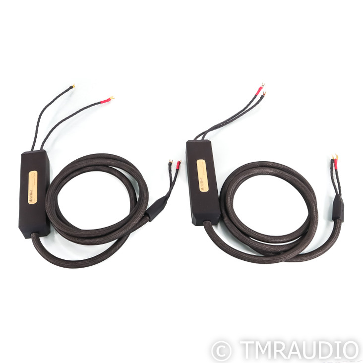 Transparent Audio MusicWave Ultra Speaker Cables; 12ft Pair Spade