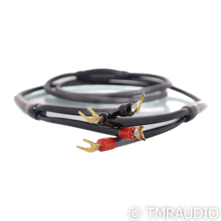 Transparent Audio MusicWave Speaker Cable; Single 8ft cable