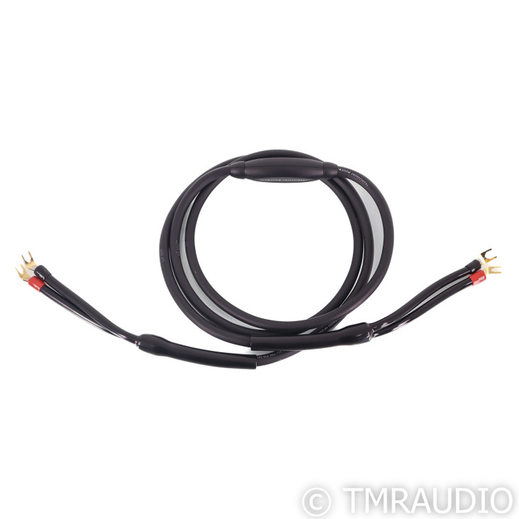 Transparent Audio MusicWave Speaker Cable; Single 8ft cable