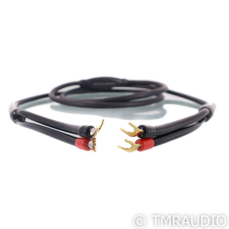 Transparent Audio MusicWave Speaker Cable; Single 8ft cable