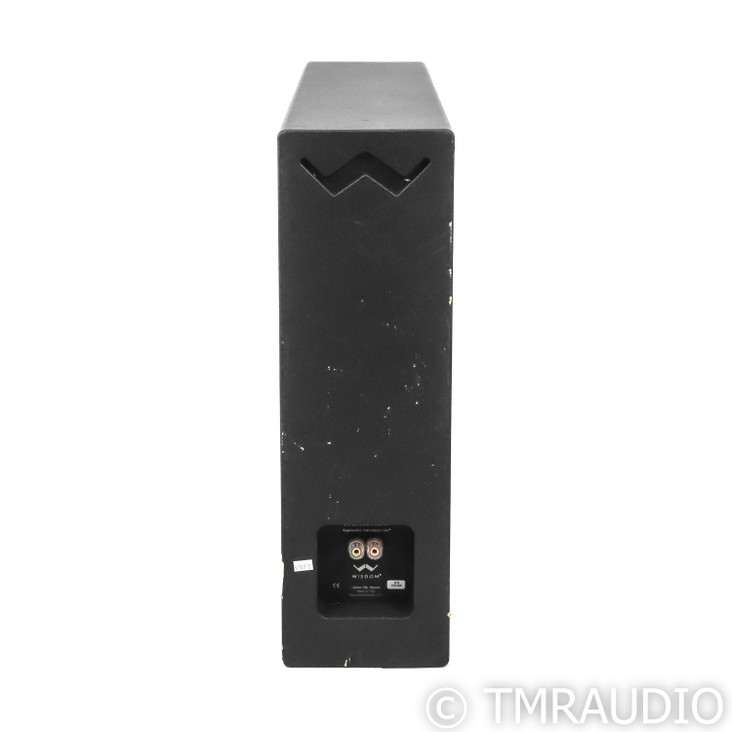 Wisdom Audio SCS2 Subwoofer w/ SW-1 Amplifier