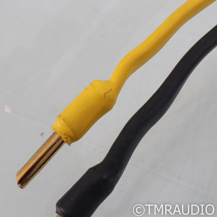 Analysis Plus Black Oval 12 Speaker Cables; 12ft Pair