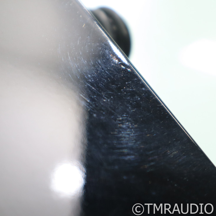 Merrill Audio Thor Monoblock Power Amplifiers; Pair w/ IsoAcoustics Gaia III