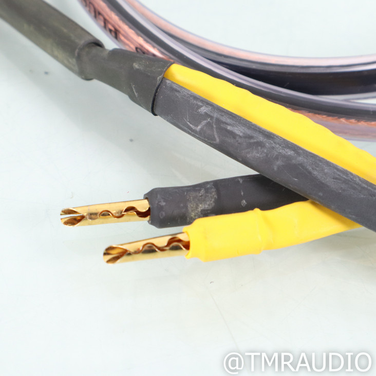 Analysis Plus Black Oval 12 Speaker Cables; 6ft Pair