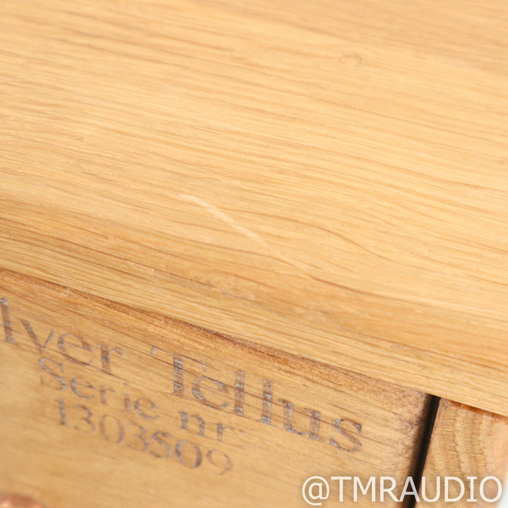 Entreq Silver Tellus Grounding Box