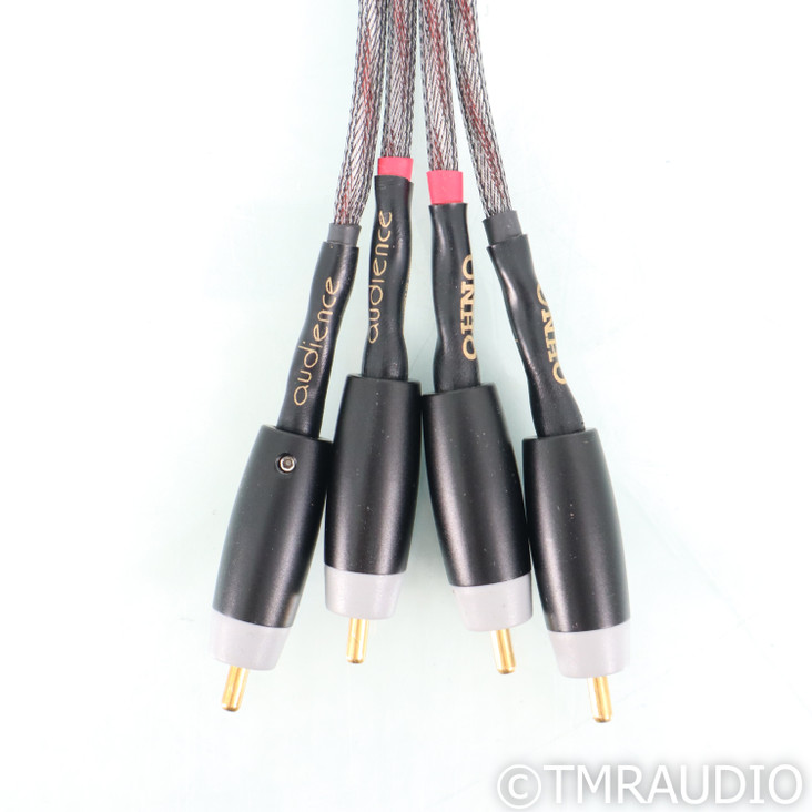Audience OHNO RCA Cables; 0.75m Pair Interconnects (Open Box)