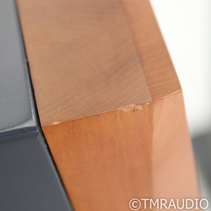 JansZen Audio Valentina A8 SE Active Floorstanding Speakers; Pair