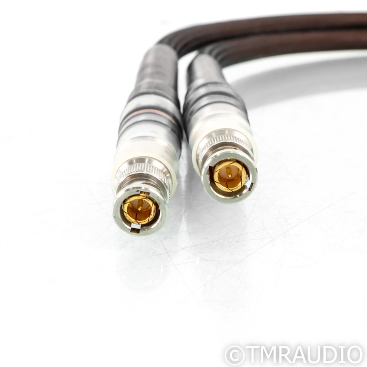 Evolution Acoustics Link BNC Cables; 1m Pair