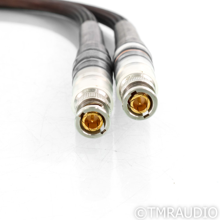 Evolution Acoustics Link BNC Cables; 1m Pair
