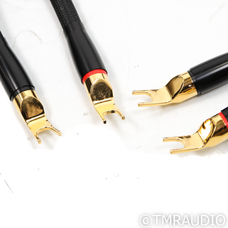 Transparent Audio Opus Gen 6 Speaker Cables; 8ft Pair with Jumpers