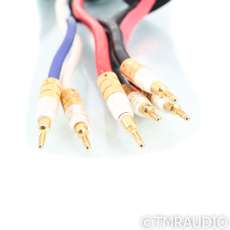 PS Audio Xstream Statement Bi-Wire Speaker Cables; 2.5m  Pair