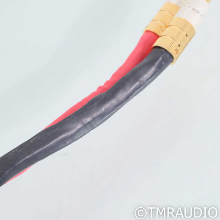 PS Audio Xstream Statement Bi-Wire Speaker Cables; 2.5m  Pair