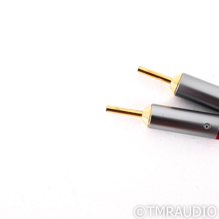 Kinki Studio Earth Speaker Cables; 2.5m Pair