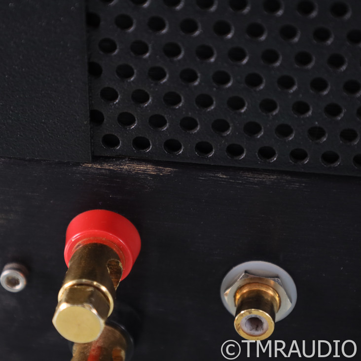 VTL MB-125 Monoblock Tube Power Amplifier; Pair