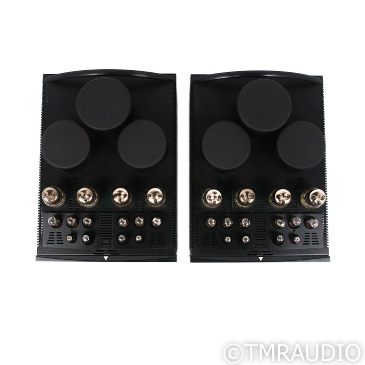 BAT REX Monoblock Tube Power Amplifiers; Black Pair