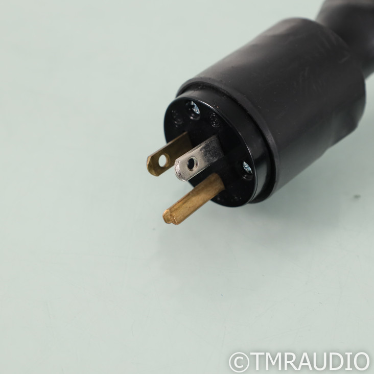 Synergistic Research Tesla T3 Power Cable; 8ft AC Cord