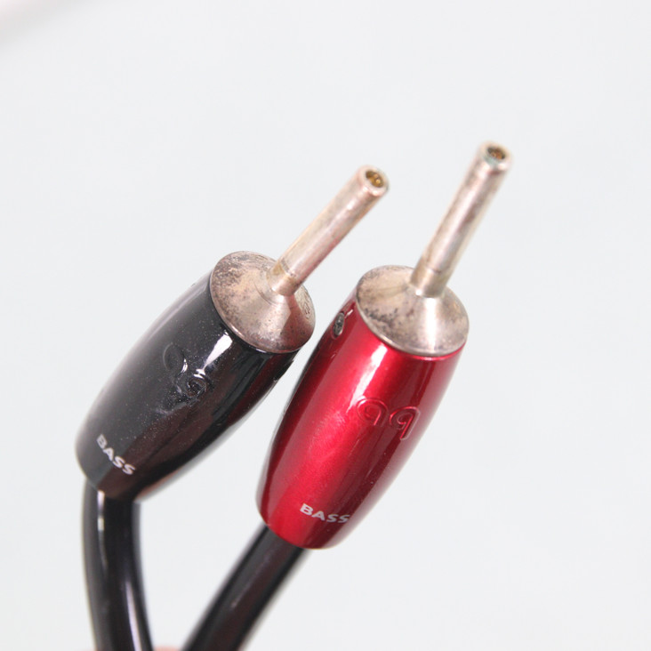 AudioQuest Rocket 88 Bi-Wire Speaker Cables; 10ft Pair