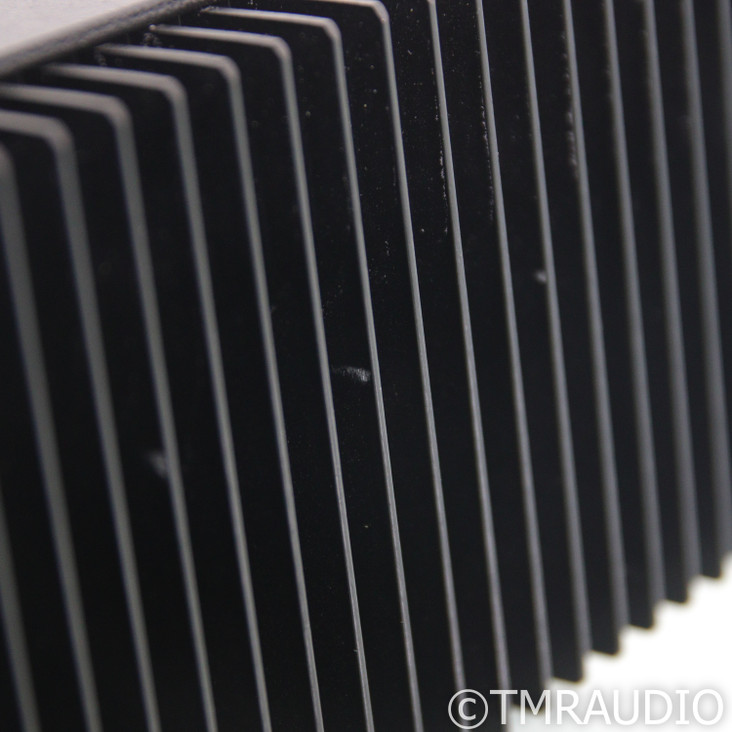 Van Alstine DVA M225 Monoblock Power Amplifiers; Pair