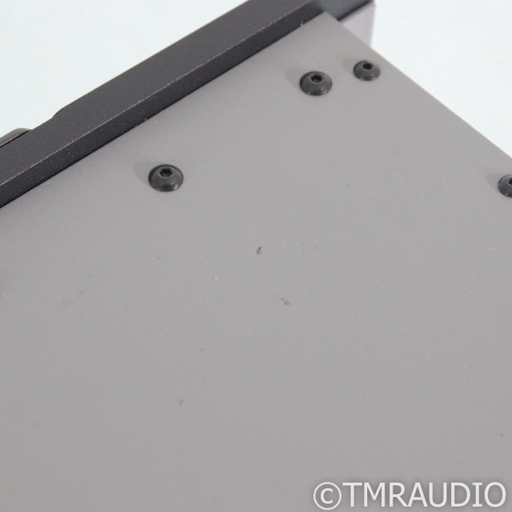 Spread Spectrum Technologies Ampzilla 2000 v2 Monoblock Power Amplifiers; Pair