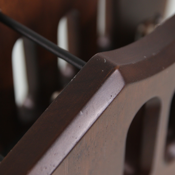 Auris Euterpe Tube Headphone Amplifier / DAC; D/A Converter