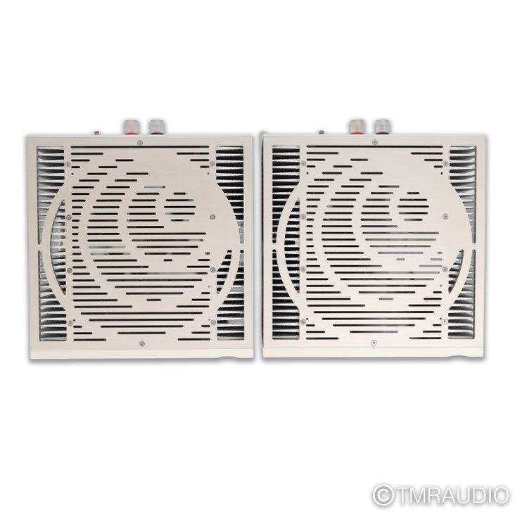 Ypsilon Aelius Tube Hybrid Monoblock Power Amplifier; Pair