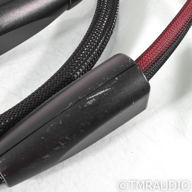 Transparent Audio Plus G5 Speaker Cables; 10ft Pair