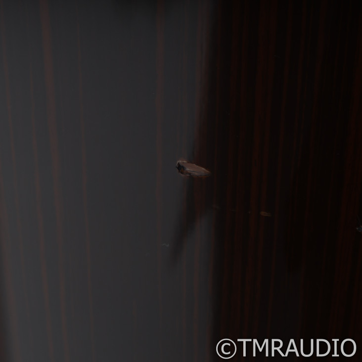 Usher ML-802 Floorstanding Speakers; High Gloss Macassar Ebony Pair