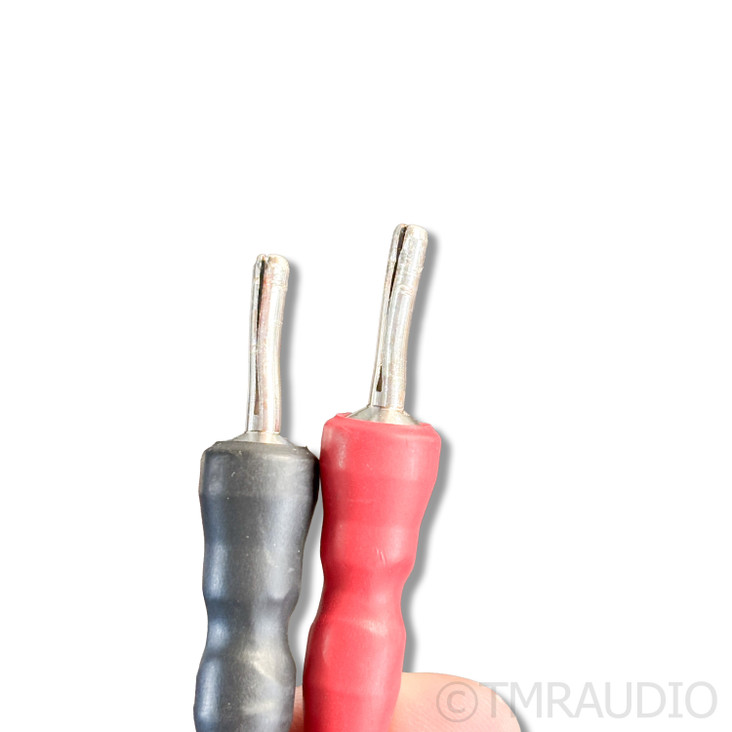 Ansuz A2 Speaker Cables; 3m Pair