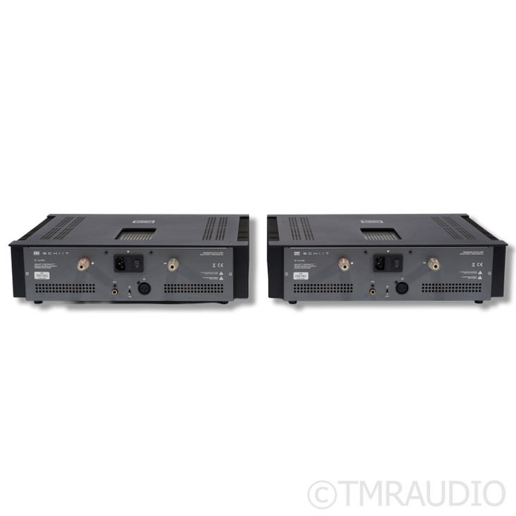 Schiit Audio TYR Monoblock Power Amplifier; Pair