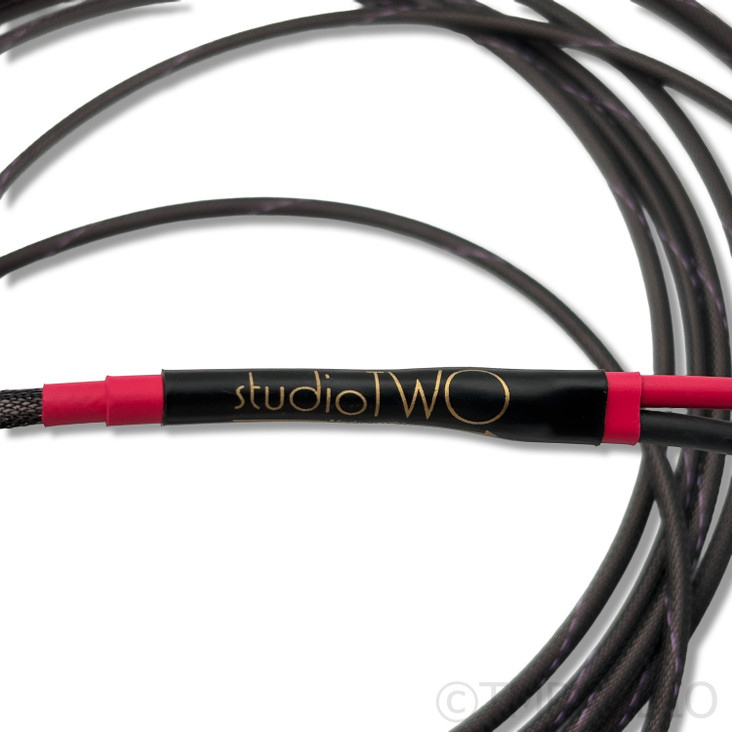 Audience Studio TWO Speaker Cables; 10ft Pair 