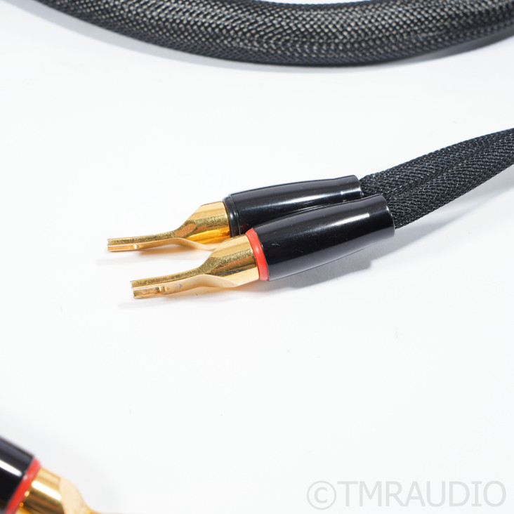 Transparent Audio Reference MM2 Speaker Cables; 10ft Pair 