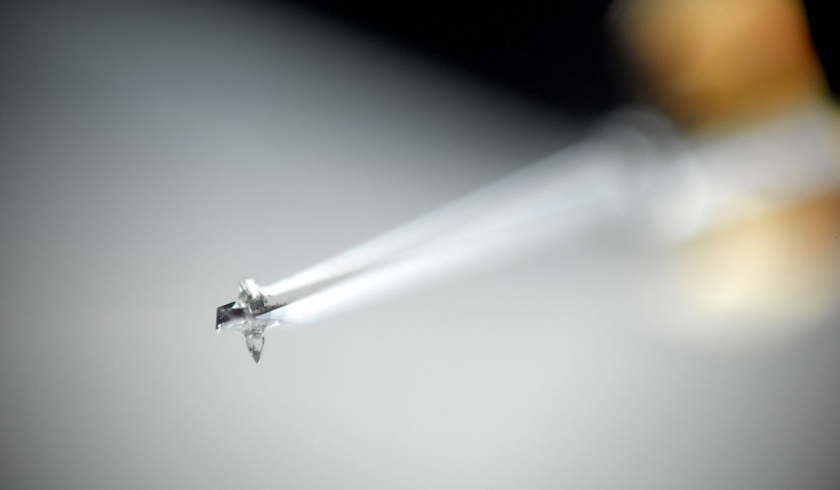 Hana Umami Black Low-Output Moving Coil Cartridge, detail view of diamond cantilever and stylus