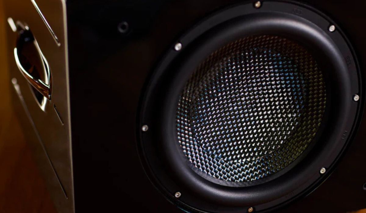 REL Carbon Special Black Label 12” Powered Subwoofer, woofer close up detail shot