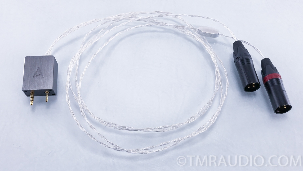 イヤホン Astell&Kern Crystal Cable Next Astell&Kern
