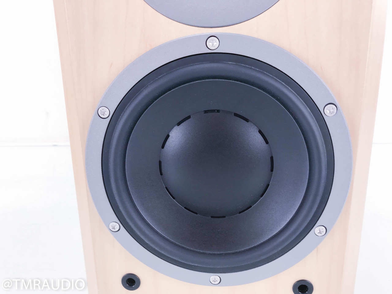 Dynaudio Focus 160 Bookshelf Speakers; Maple Pair - The Music Room